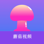 ✵91网站最新版官方版APP应用